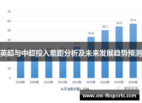 英超与中超投入差距分析及未来发展趋势预测